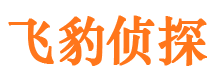 广阳侦探公司